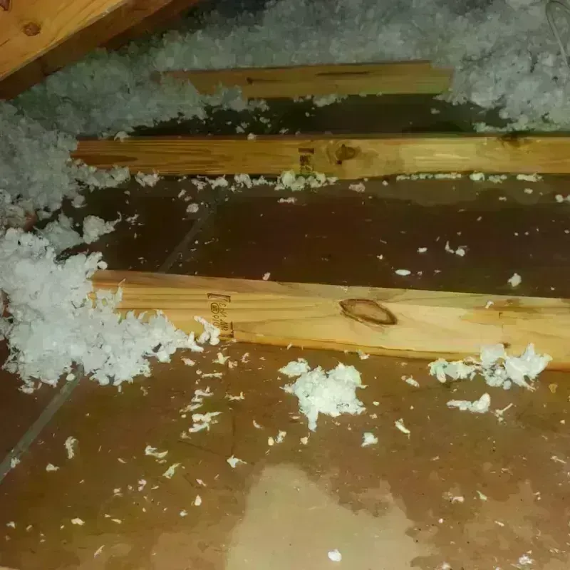 Attic Water Damage in Howard County, TX