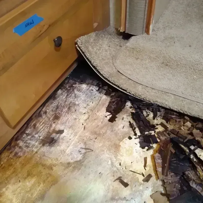 Best Wood Floor Water Damage Service in Howard County, TX